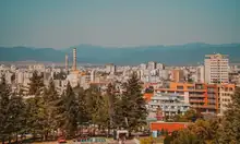 Sofia