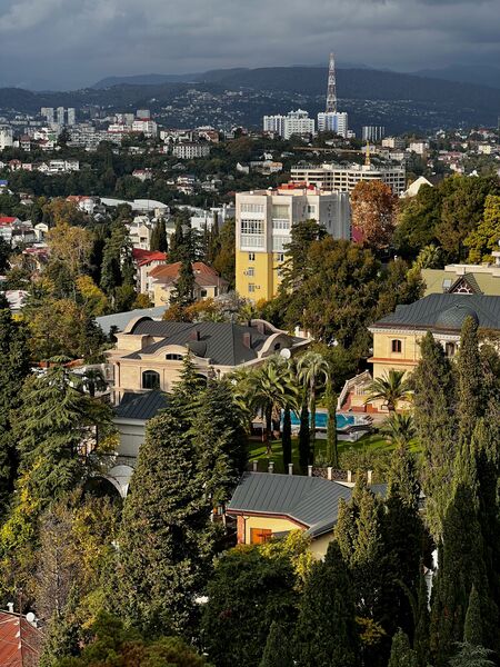 Reviews about real estate agencies Sochi, Russia