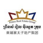 Prince Real Estate Group