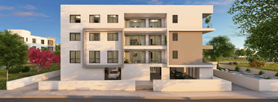 Angelonia Gardens 2