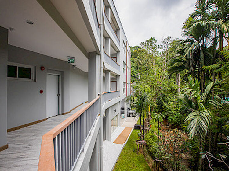 Palmetto Park Condominium