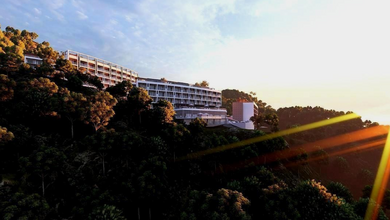 GURU SUBTROPICAL