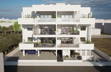 Everest Homes 30