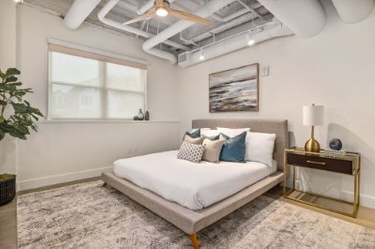 Islington Street Condo