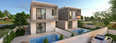 Angelonia Gardens 2