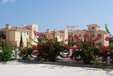 Asimina Park