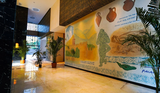 Wyndham Residences