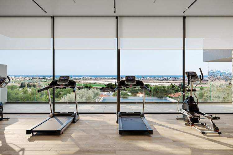 Actualmente en fase de planificación, Dea Co Hill es una mansión súper lujosa con impresionantes vistas al mar y una superficie cubierta de 1170 m² distribuida en 5 niveles. Esta magnífica casa de 5 dormitorios ha sido estratégicamente diseñada para Dea Co Hill