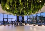 Ideo Sukhumvit-Rama 4