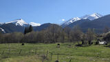 Monte Neve Mountain Homes