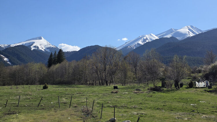 Monte Neve Mountain Homes